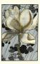 Patterned Magnolia I by Jennifer Goldberger Limited Edition Print