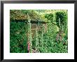 Old Brick Potting Shed Digitalis Purpurea The Old Rectory, Corsley, Wiltshire by Mark Bolton Limited Edition Print