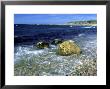 The Shore, Gros Morne National Park, Canada by Philippe Henry Limited Edition Print