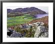 Heather Covered Slopes Overlooking Gloywlyn In Rhinog Mountains, North Wales by Richard Packwood Limited Edition Print