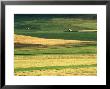 Farmland, Scotland by Iain Sarjeant Limited Edition Pricing Art Print