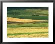 Farmland, Scotland by Iain Sarjeant Limited Edition Print