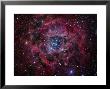 The Rosette Nebula by Stocktrek Images Limited Edition Print