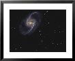 Ngc 1365 Is A Barred Spiral Galaxy In The Constellation Fornax by Stocktrek Images Limited Edition Pricing Art Print
