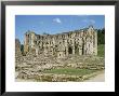 Rievaulx Abbey, North Yorkshire, Yorkshire, England, United Kingdom by Philip Craven Limited Edition Print