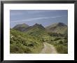 Newlands Valley, Lake District, Cumbria, England, United Kingdom by James Emmerson Limited Edition Print