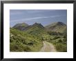 Newlands Valley, Lake District, Cumbria, England, United Kingdom by James Emmerson Limited Edition Pricing Art Print