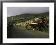 The Dingle Peninsula, County Kerry, Munster, Eire (Republic Of Ireland) by Jon Hart Gardey Limited Edition Print
