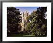 Ely Cathedral, Ely, Cambridgeshire, England, United Kingdom by Lee Frost Limited Edition Pricing Art Print