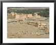 Hill Top View, Archaelogical Ruins, Palmyra, Unesco World Heritage Site, Syria, Middle East by Christian Kober Limited Edition Print