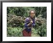 Girl Carrying Fuel Wood Bundle On Her Back, Chilima Forest, Ethiopia, Africa by Dominic Harcourt-Webster Limited Edition Print