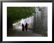 Monks Walk In Sera Temple, Lhasa, Tibet, China by Keren Su Limited Edition Print