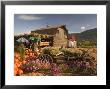 Log Barn And Fruit Stand In Autumn, British Columbia, Canada by Walter Bibikow Limited Edition Print