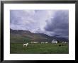 Horse Farm With Mountains In Background, Vatnasdalsholar Hills, North West Islands, Iceland by Bill Bachmann Limited Edition Pricing Art Print