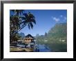 Cook's Bay, Moorea, French Polynesia, South Pacific, Tahiti by Steve Vidler Limited Edition Pricing Art Print