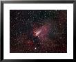 Omega Nebula by Stocktrek Images Limited Edition Pricing Art Print