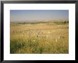 Custer's Last Stand Battlefield, Custer's Grave Site Marked By Dark Shield On Stone, Montana, Usa by Geoff Renner Limited Edition Print