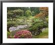 Flowers In Bloom, Japanese Garden, Washington Park Arboretum, Seattle, Washington, Usa by Jamie & Judy Wild Limited Edition Print