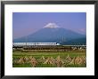 Mount Fuji, Bullet Train And Rice Fields, Fuji, Honshu, Japan by Steve Vidler Limited Edition Pricing Art Print
