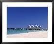 Busselton Jetty, Busselton, Western Australia, Australia by Doug Pearson Limited Edition Print