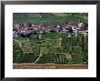 St-Euphraise-Et-Clairizet, Champagne, France by Doug Pearson Limited Edition Print