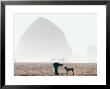 Playing Frisbee On Misty Morning, Cannon Beach, Oregon, Usa by Janis Miglavs Limited Edition Print