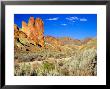 Dirt Trail Through Sagebrush And Tall Redstone Cliffs, Owyhee Area, Oregon, Usa by Janis Miglavs Limited Edition Print