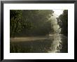 View Of The Menangul River And Rain Forest In The Early Morning by Tim Laman Limited Edition Print