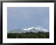 Two Eagles Soaring Over The Snow Covered Chugach Mountains by Rich Reid Limited Edition Print