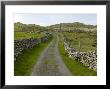 Country Road Lined With Stone Walls, Inishturk Island, County Mayo, Ireland by Pete Ryan Limited Edition Print
