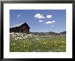 Log Cabin On The High Country Ranch On The Continental Divide, Tres Piedras, New Mexico by Rich Reid Limited Edition Print