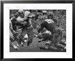 College Football Game: Georgia Tech Vs Notre Dame by Mark Kauffman Limited Edition Print