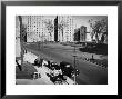 Women And Couples Walking Babies In Carriage In Parkchester Housing Development In The Bronx by Alfred Eisenstaedt Limited Edition Print