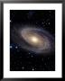 Messier 81 by Stocktrek Images Limited Edition Pricing Art Print