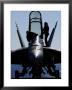 F/A-18F Super Hornet by Stocktrek Images Limited Edition Print