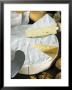 French Brie Cheese, France by Nico Tondini Limited Edition Print