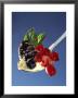 A Spoonful Of Berries And Vanilla Pudding by Gaby Bohle Limited Edition Print