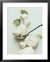 Mozzarella And Fresh Basil by Luzia Ellert Limited Edition Print