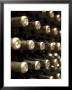 White Wine Bottles Maturing In A Cellar by Steven Morris Limited Edition Print