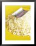 Grated Cheese With Grater On Yellow Plate by Dave King Limited Edition Pricing Art Print