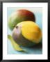 Two Mangos, One Partly Sliced by Philip Webb Limited Edition Print