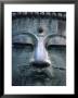 Great Buddha Statue, Kamakura, Daibutsu, Kanto, Japan by Steve Vidler Limited Edition Print