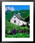 Church In Village Of Talloires Near French Alps With Mountain In Background, Rhone-Alpes, France by Glenn Van Der Knijff Limited Edition Print