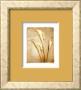 Poetica Ii by Amy Melious Limited Edition Pricing Art Print