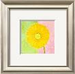 Yellow Daisy by Dona Turner Limited Edition Pricing Art Print