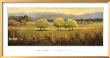 View With Three Trees by Jill Barton Limited Edition Pricing Art Print