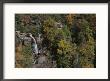 Scenic Of The Waterfall Set Among Autumn Foliage by Bates Littlehales Limited Edition Print