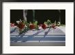 Roses Cover The Casket Of An  Officer Killed In The Pentagon On 9/11 by Stephen St. John Limited Edition Pricing Art Print