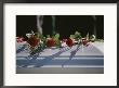 Roses Cover The Casket Of An  Officer Killed In The Pentagon On 9/11 by Stephen St. John Limited Edition Pricing Art Print