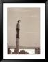 Book Tower by Quint Buchholz Limited Edition Print